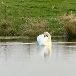 Sosnowy Zakatek Stegna- Rodzinne Blisko Morza Wedkowanie, Rowery, Plac Zabaw Prázdninový dům *