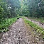 Sosnowy Zakatek Stegna- Rodzinne Blisko Morza Wedkowanie, Rowery, Plac Zabaw Stegna (Pomerania)