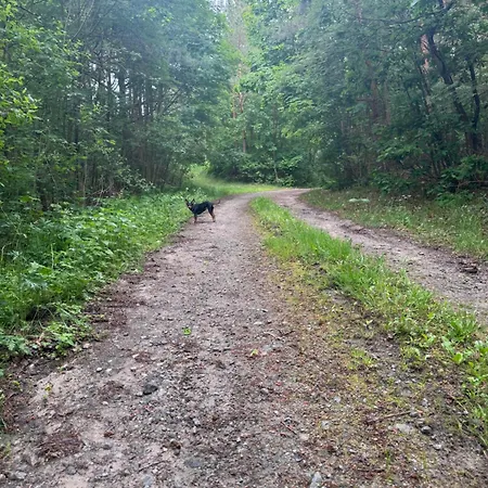 Sosnowy Zakatek Stegna- Wedkowanie, Rowery, Plac Zabaw Stegna (Pomerania)