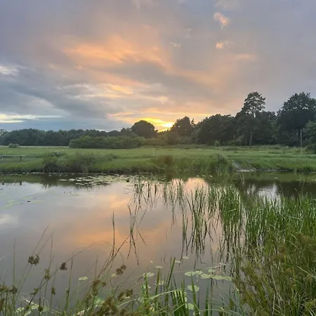 Sosnowy Zakatek Stegna- Wedkowanie, Rowery, Plac Zabaw *
