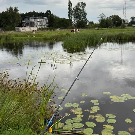 Sosnowy Zakatek Stegna- Wedkowanie, Rowery, Plac Zabaw Holiday home