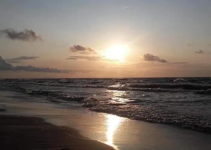 度假居 Sosnowy Zakatek Stegna- Wedkowanie, Rowery, Plac Zabaw 斯蒂格纳