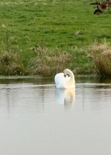Sosnowy Zakatek Stegna- Wedkowanie, Rowery, Plac Zabaw 度假居 *