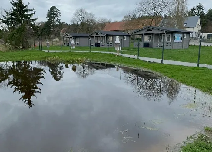 Sosnowy Zakatek Stegna- Wedkowanie, Rowery, Plac Zabaw * 斯蒂格纳