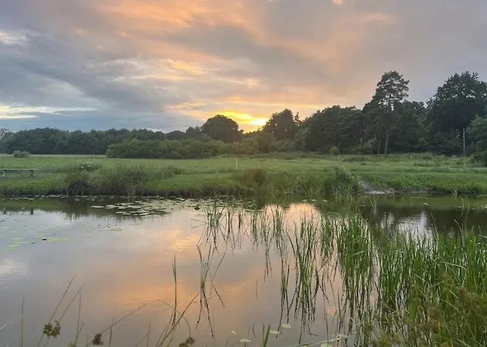 Sosnowy Zakatek Stegna- Wedkowanie, Rowery, Plac Zabaw *