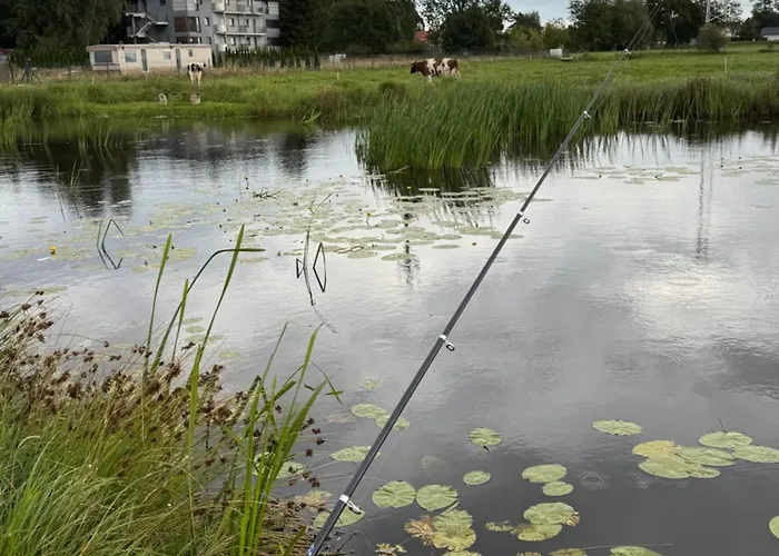 Sosnowy Zakatek Stegna- Wedkowanie, Rowery, Plac Zabaw 度假居
